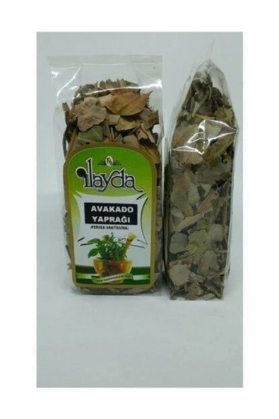 İlayda Avakado Yaprağı