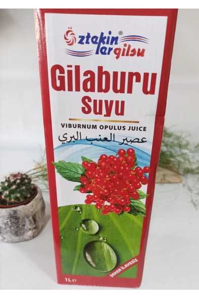 Öztekinler Gilaburu Suyu