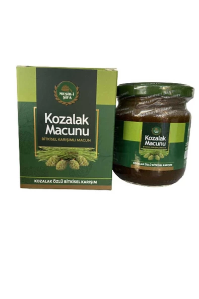 Mesirişifa Kozalak Macunu 240 gr