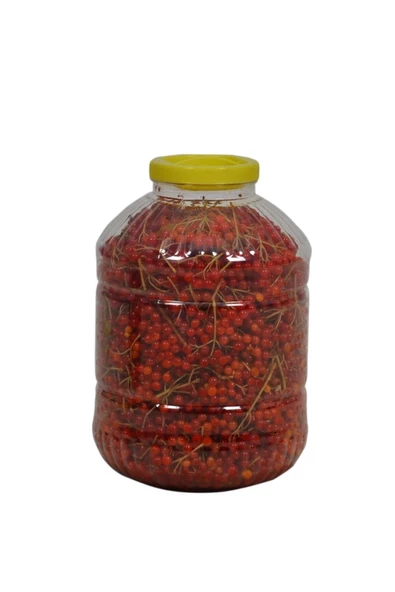 MEBRUR BİO BİTKİSEL ÜRÜNLER Mebrur Gilaburu Meyvesi ürün görseli