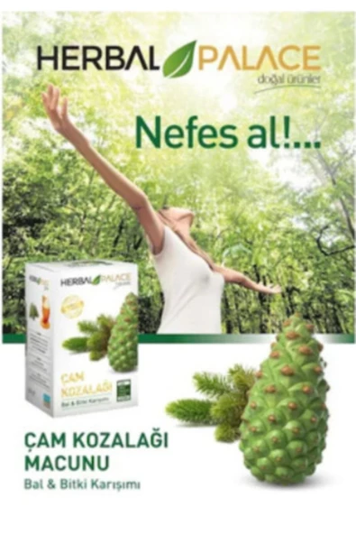 Herbal Palace Çam Kozalağı Macunu (bal Bitki Karışımı) Nhr...