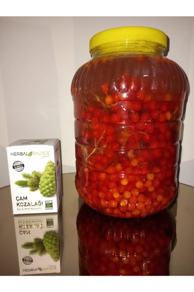 Herbal Palace Gilaburu Meyvesi 5 Lt + Çam Kozalağı Macunu (bal Bitki Karışımı) 240gr Nehir...