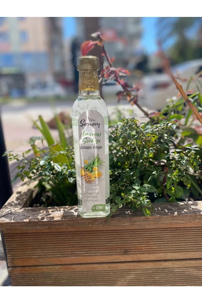 Şenay ANANAS SİRKESİ
