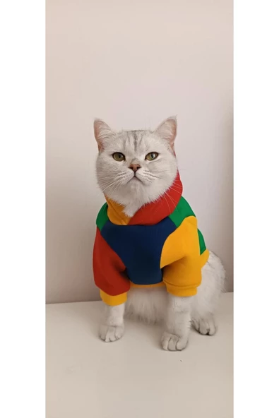 Kedi & Köpek Kıyafeti Sweatshirt Hoodie (Kapüşonlu) Model Colourful Tasma Delikli S Beden