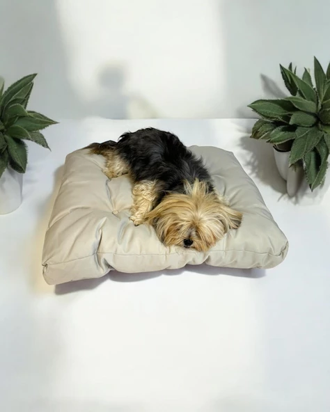 Pouf White Kedi Köpek Minderi 70 x 80 cm - 2