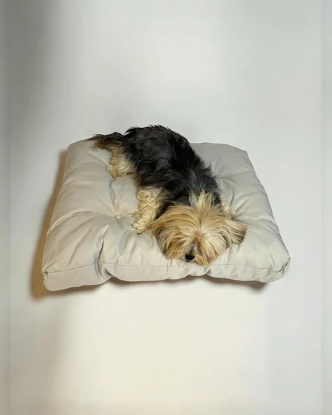 Pouchie White Kedi Köpek Minderi 65 x 65 cm - 2