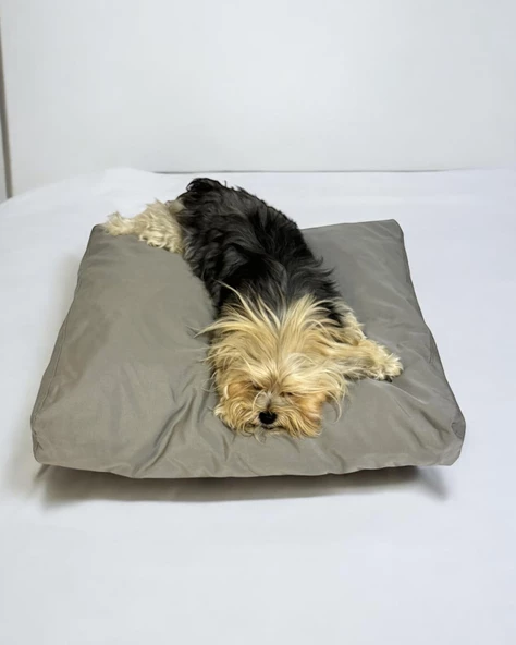 Grey Me Kedi Köpek Minderi 70 x 60 cm - 2