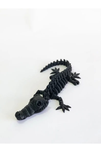 Hareketli İskelet Timsah - Resim 2