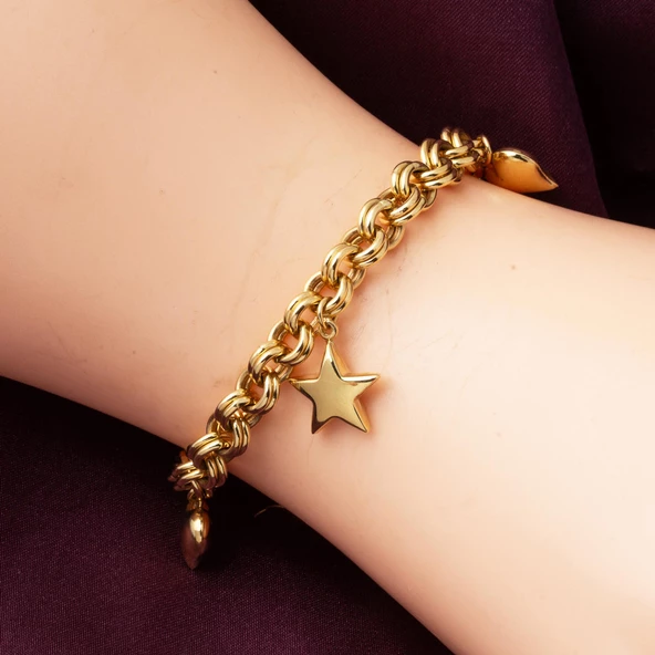 Pandora Charmlı 14 Ayar Sevgi Bilekliği - Resim 4