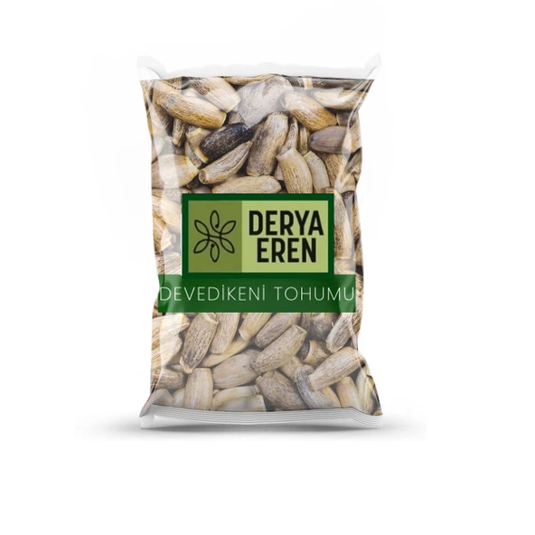 Deve Dikeni Tohumu (Silybum Marianum) Devedikeni 500 gr, Derya Eren