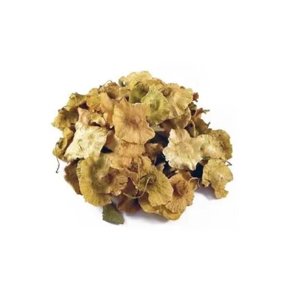 Deve Tabanı (Karaçalı Çaltı Pulu) 100 gr, Derya Eren - 2
