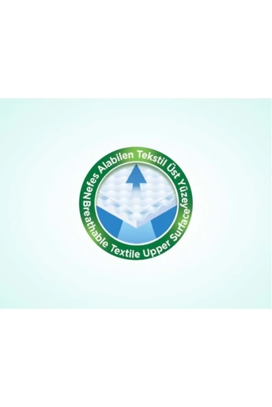 EVONY Yetişkin Hasta Bezi Large Büyük Beden 30lu - 2