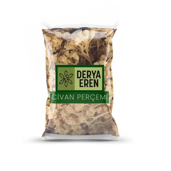 Civan Perçemi (Achillea millefolium) 500 gr, Derya Eren