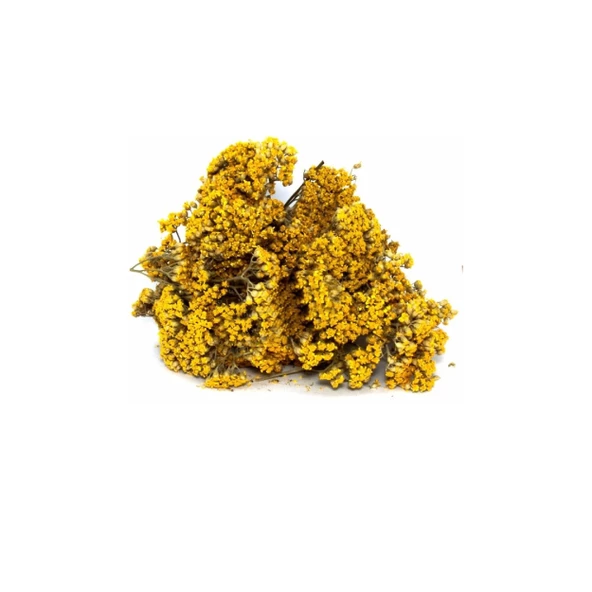 Civan Perçemi (Achillea millefolium) 250 gr, Derya Eren - 2