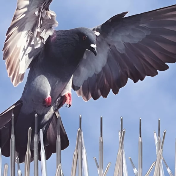 BARİYER KORUYUCU ŞEFFAF PLASTİK (3 ADET) - 3