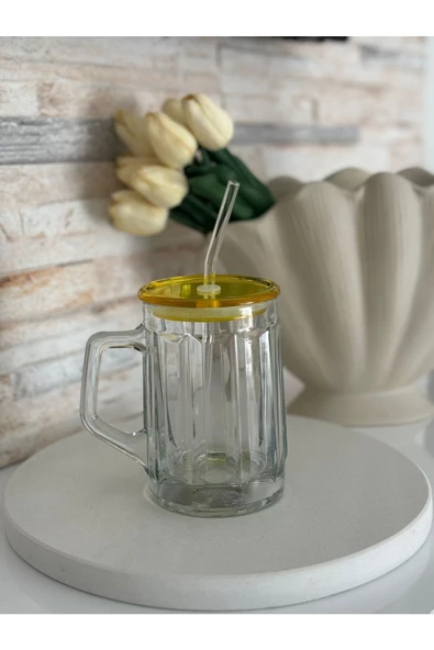 btmhome Isıya Dayanıklı Pipetli Renkli ve Kapaklı Bardak 1 Adet