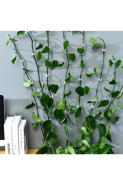 btmhome 10 Adet Kendinden Yapışkanlı Kablo Sarmaşık Çiçek Tutucu Duvar Sabitleme aparatı Yapışkanlı - 5