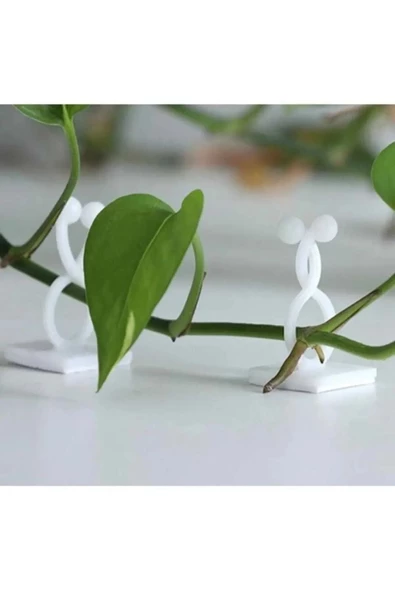 btmhome 10 Adet Kendinden Yapışkanlı Kablo Sarmaşık Çiçek Tutucu Duvar Sabitleme aparatı Yapışkanlı - 4