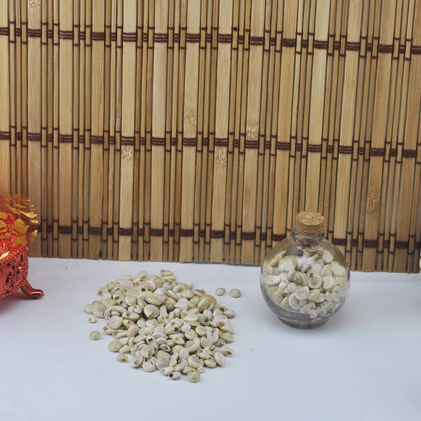 Umbinium Beyaz Kiloluk Deniz Kabuğu (1 KG) - Resim 2