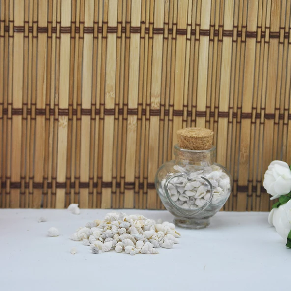 Nassa Shell Kavrulmuş Kiloluk Deniz Kabuğu (1 KG) - 2