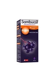 Sambucol Plus Kara Mürver Özütü C Vitamini Çinko 120 ml 2 Adet - Resim 2