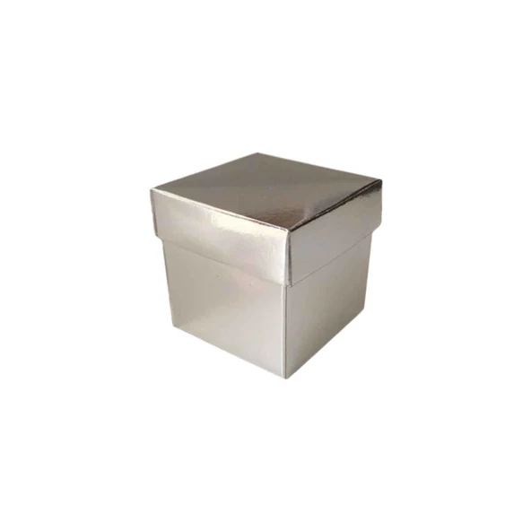Komple Karton Kutu Düz Renk 6X6X6 CM (25 Adet)  Gümüş