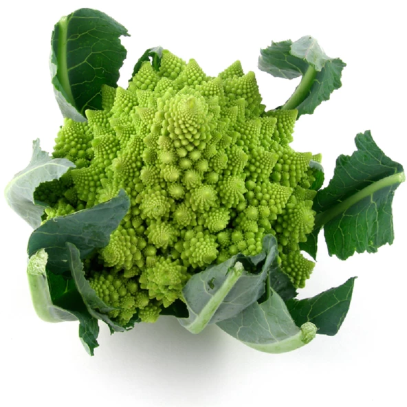 Piramit Brokoli Tohumu 10 Adet Tohum - Resim 6