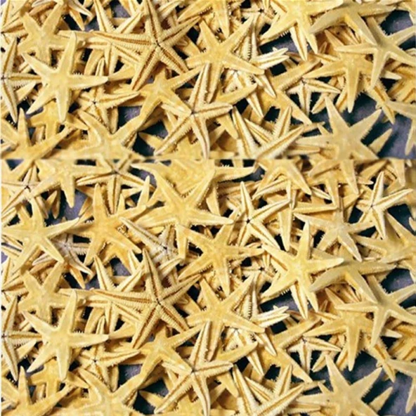 Naturel Deniz Yıldızı Minik Boy 0.5 Cm -1.5 Cm (100 Adet)  Natural