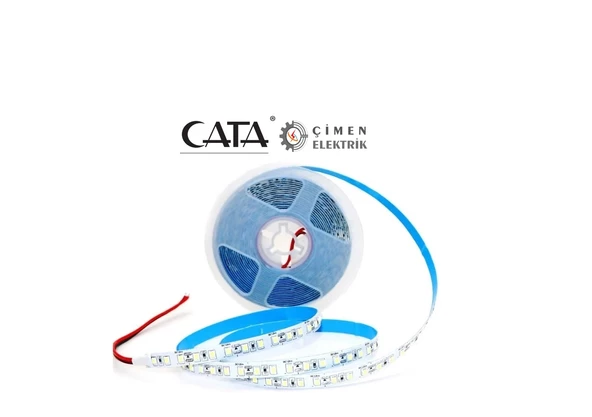 5 METRE CATA CT 4484 10 Çip İç Mekan Şerit Led Mavi 12 V