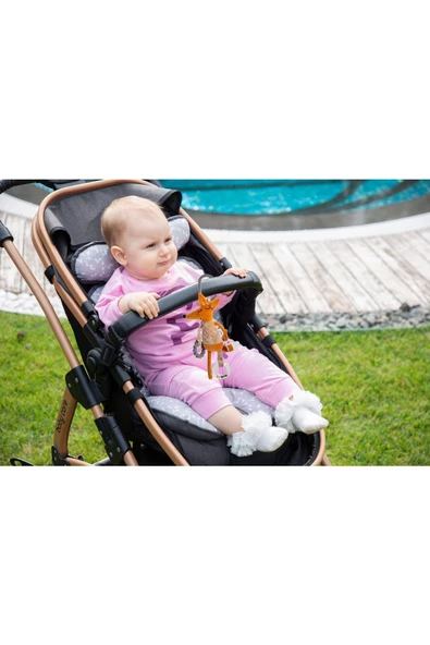 Babyjem Fox Puset Oyuncağı - Resim 6