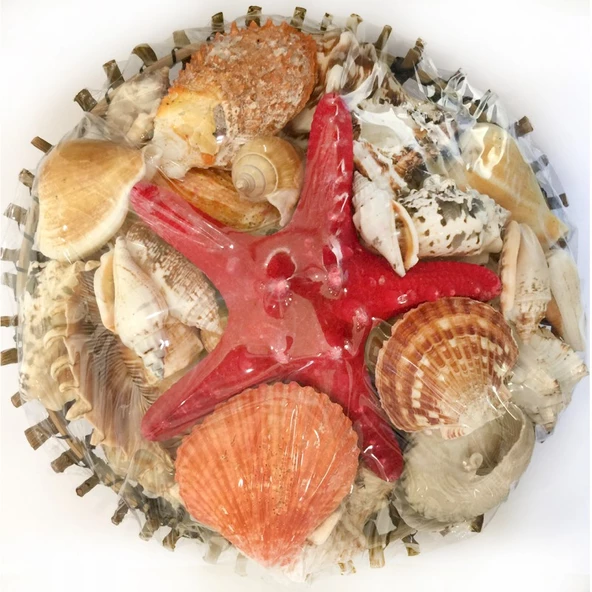 Sepet Kabuk 25 CM Ağaç Dalı Yuvarlak ürün görseli