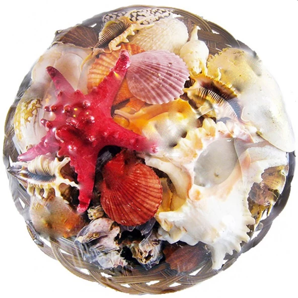 Fruit Of The Sea 35 CM - 1