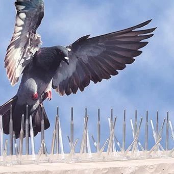 POLİKARBON KUŞ KOVUCU KUŞKONMAZ DİKENİ ŞEFFAF (60 ADET) - 3