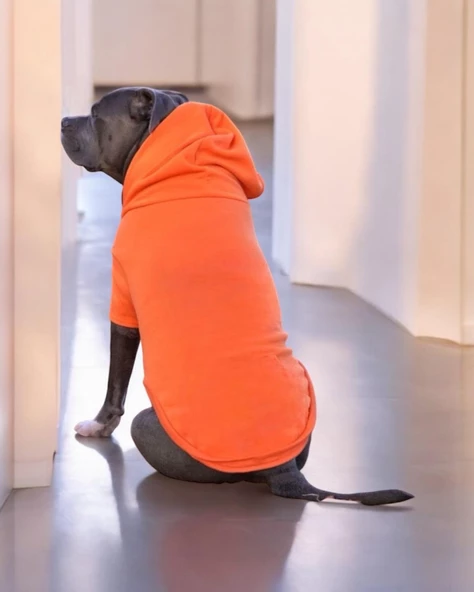 Orange Kapşonlu Sweatshirt, Orta ve Büyük Irklar İçin - 7