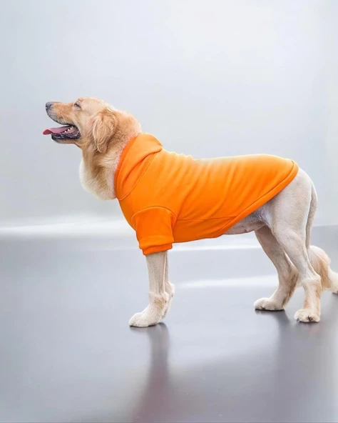 Orange Kapşonlu Sweatshirt, Orta ve Büyük Irklar İçin - 5