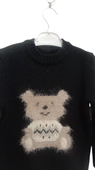 uğurböceğiçocuk Ayı Baskılı Erkek Çocuk Kazak 1446 - 5