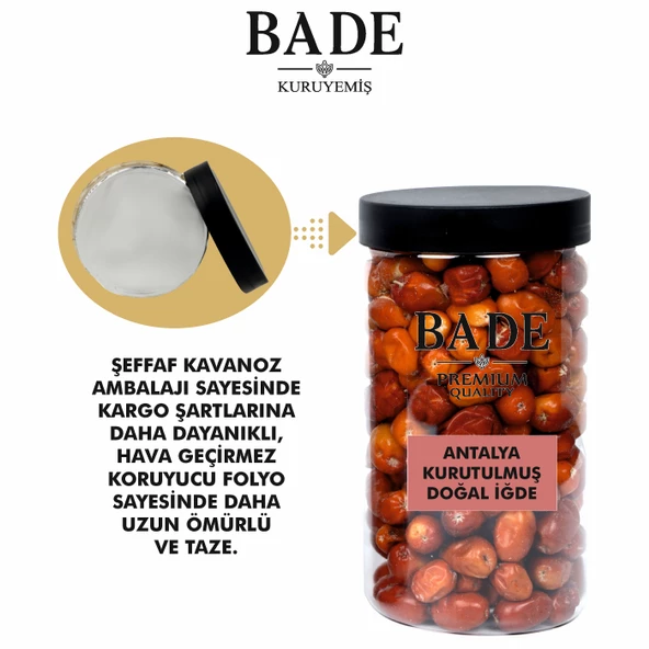 Kuru İğde Antalya İri Boy 150 gr. - 4