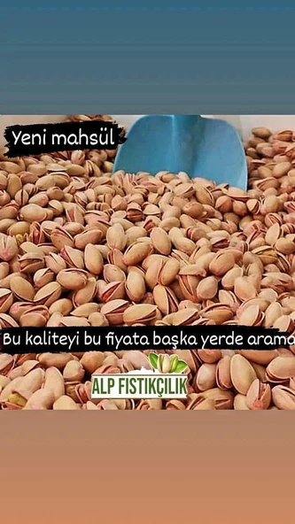 3 kg Siirt fıstığı