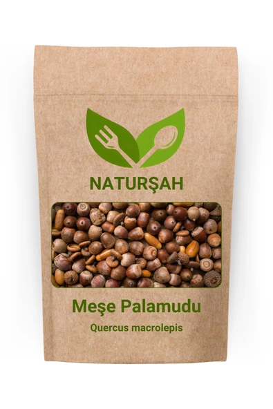 Naturşah Meşe Palamudu (Quercus Macrolepis) 50 Gr