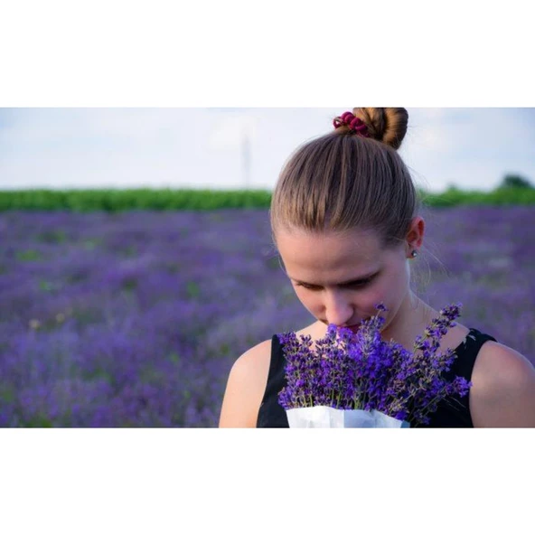 Lavanta Demeti Lavender Bundle 20 Adet 100 gr Lila - 4