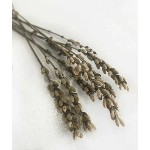 Doğal Lavanta Şoklanmış Çiçek Natural Demet 100 gr - 2