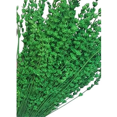 Tatlı Mor Lavanta Demeti Isparta'dan 100 gr - 2