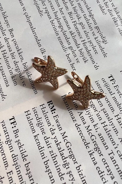 ZIRKON TAŞ DENIZ YILDIZI KUPE ( ALTIN KAPLAMA ) - 2