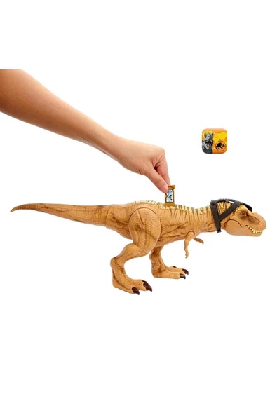 Hunt N Chomp Tyrannosaurus Rex Hnt62 - 6