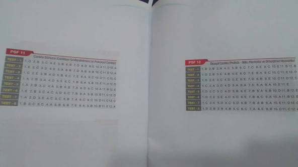 PALME YAYINEVİ - Psf Palme Soru Föyleri - 9. Sınıf Biyoloji - 5