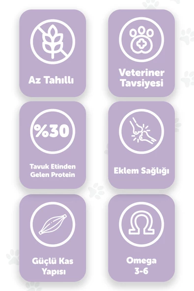 Pawgo Premier Perfection 2 Kg Tavuk Etli Hypoallergenic Premium Kedi Maması-düşük Tahıllı - 2