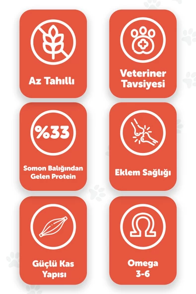 Pawgo Salmon Supreme 2 Kg Sterilised Hypoallergenic Kısırlaştırılmış Somon Balıklı Premium Kedi Maması - 2