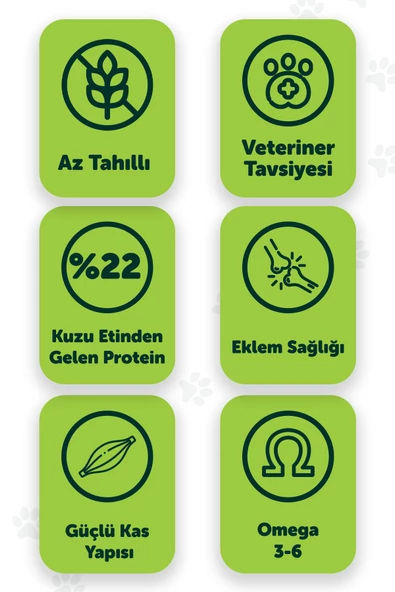 Pawgo Standard Superiority 2 Kg Kuzu Etli Yetişkin Köpek Maması - 2