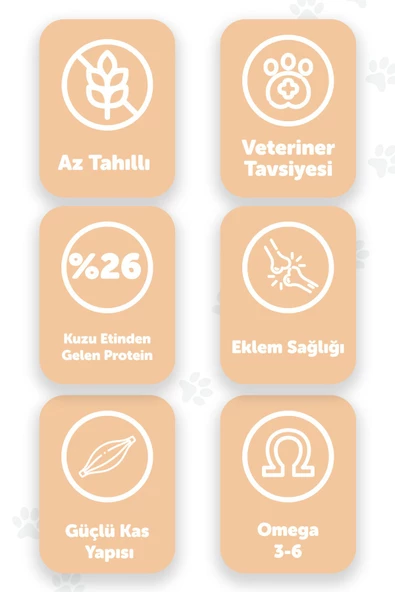 Pawgo Puppy Prime 2 Kg Kuzu Etli Premium Yavru Köpek Maması - 2