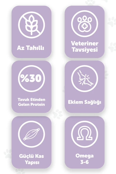 Pawgo Premier Perfection Tavuk Etli Hypoallergenic Premium Kedi Maması 15 Kg-düşük Tahıllı - 2